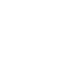 icon_simu